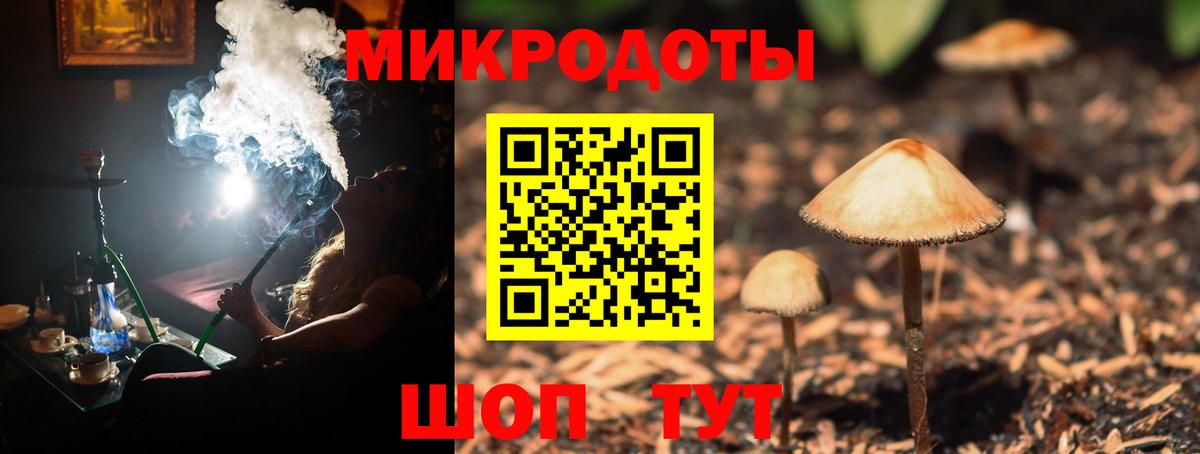 Псилоцибиновые грибы Psilocybine cubensis  Псилоцибиновые грибы Cubensis  Сунжа  наркота  Вход с VPN 